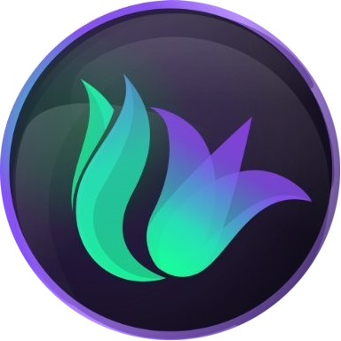 Solily Protocol
